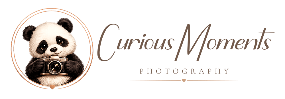 Curious Moments (1000 x 347 px)